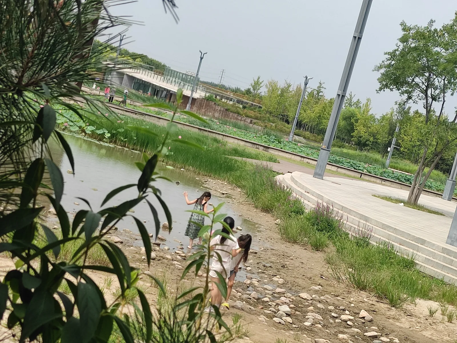 孩子们沿着湿地水边自己寻找玩法