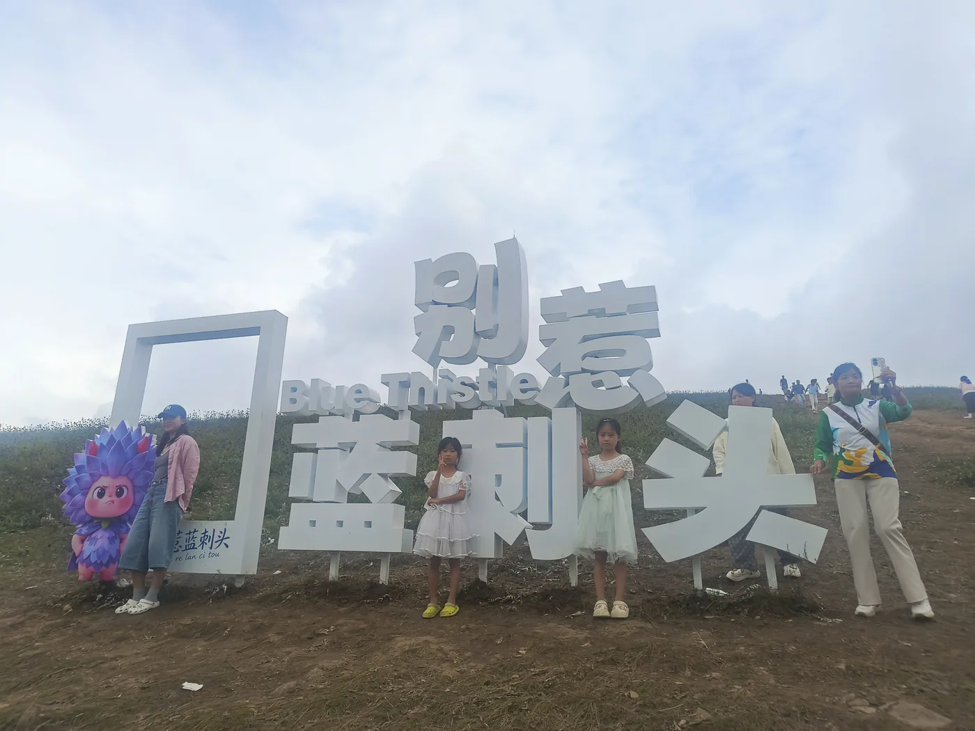 两个孩子在草甸的花草装置旁合影