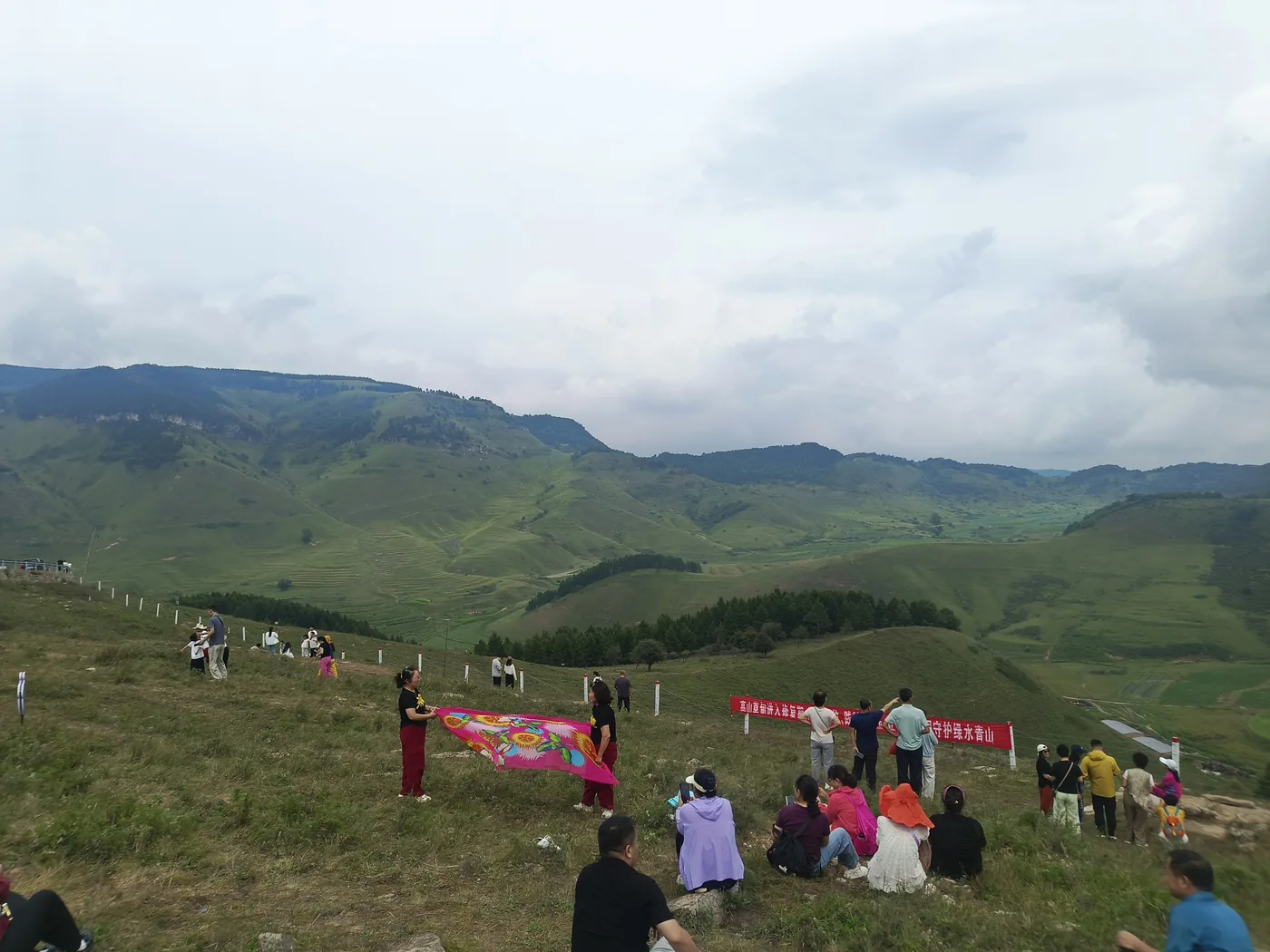 牛群活动草坡与远山共同组成的开阔全景
