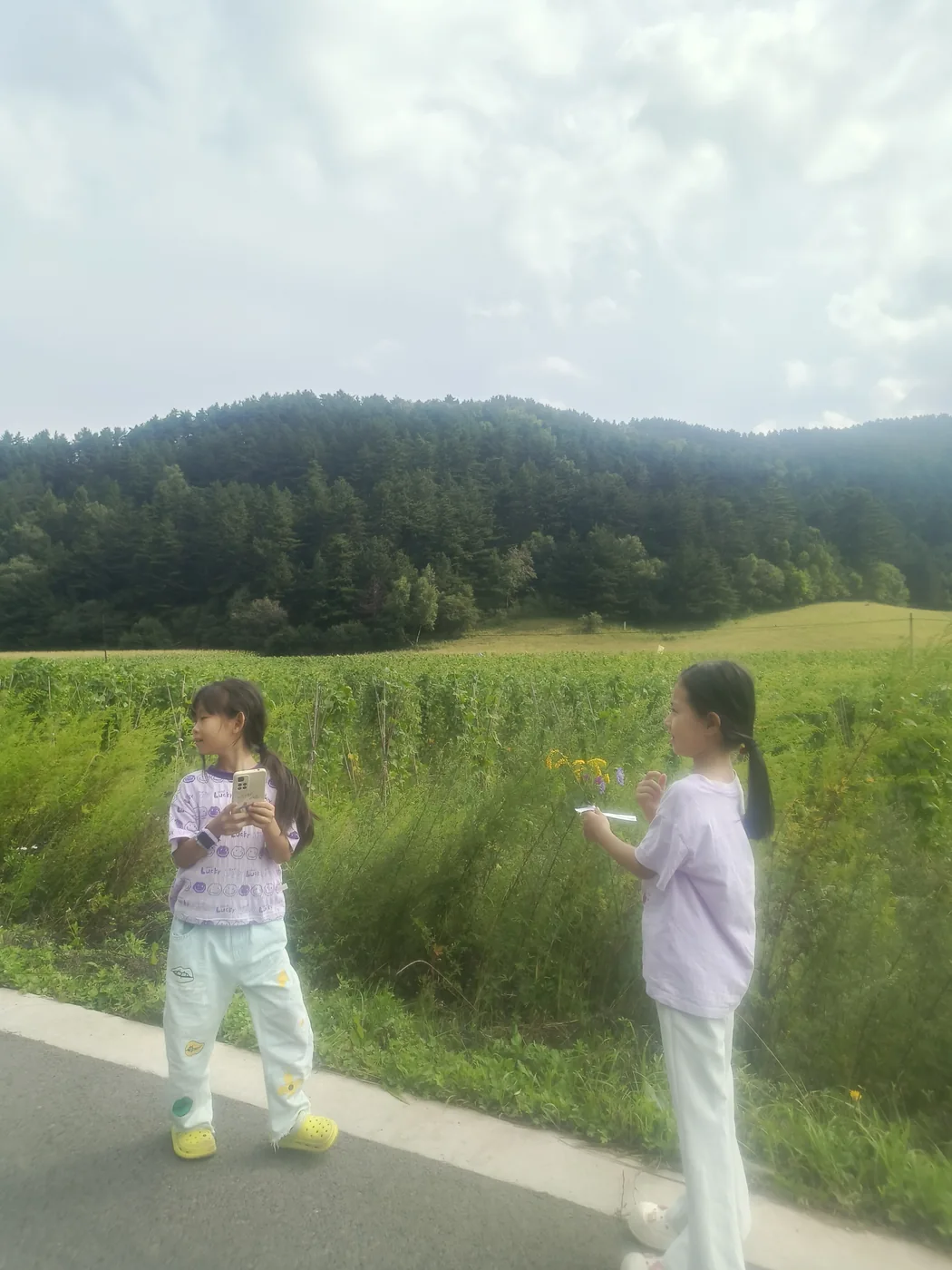 孩子在山路边观察野花与林地