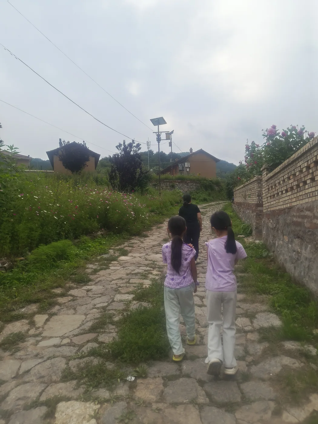 孩子们沿乡村山路继续向前行走