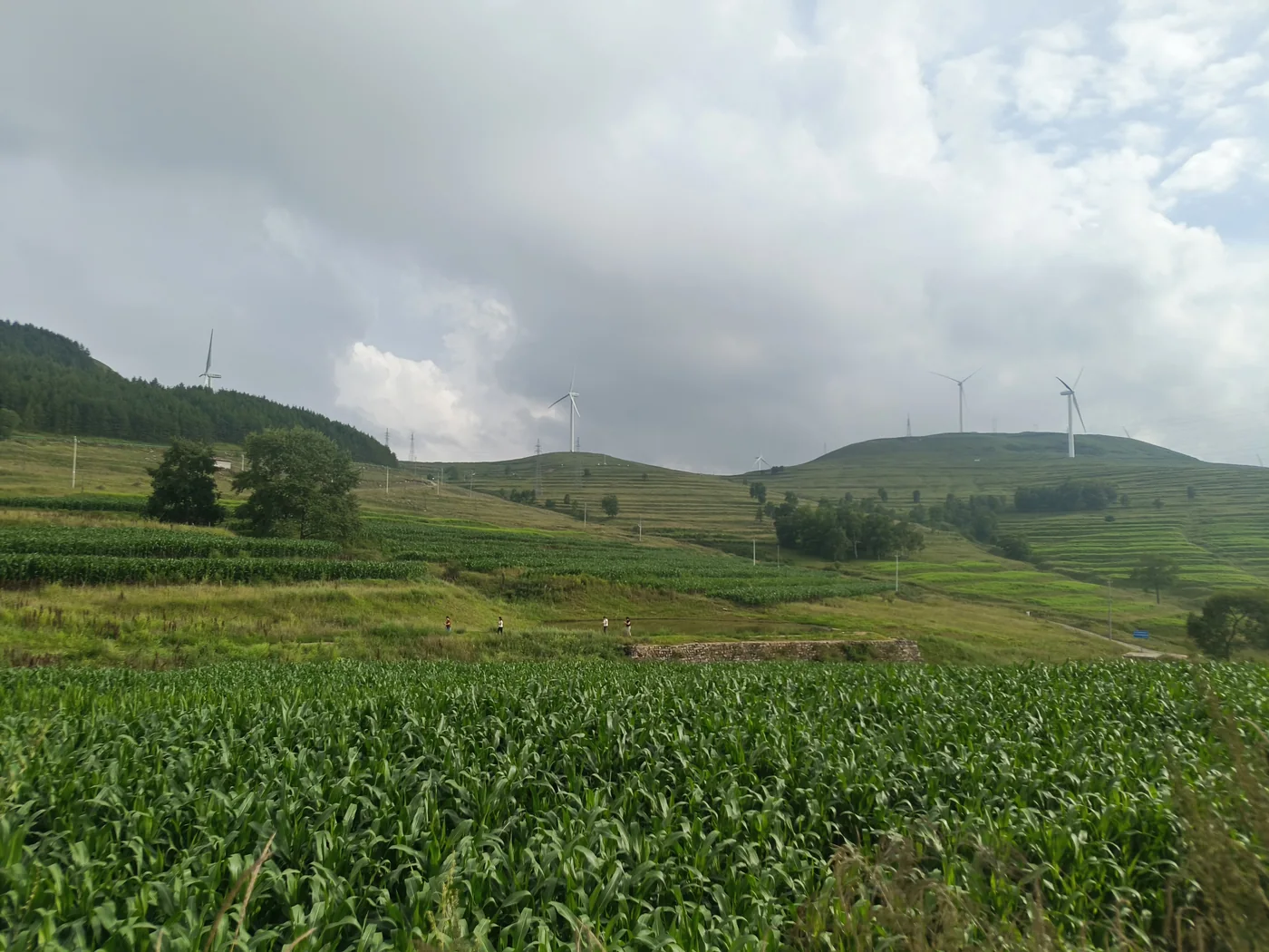 车辆行进在傍晚的盘山公路上